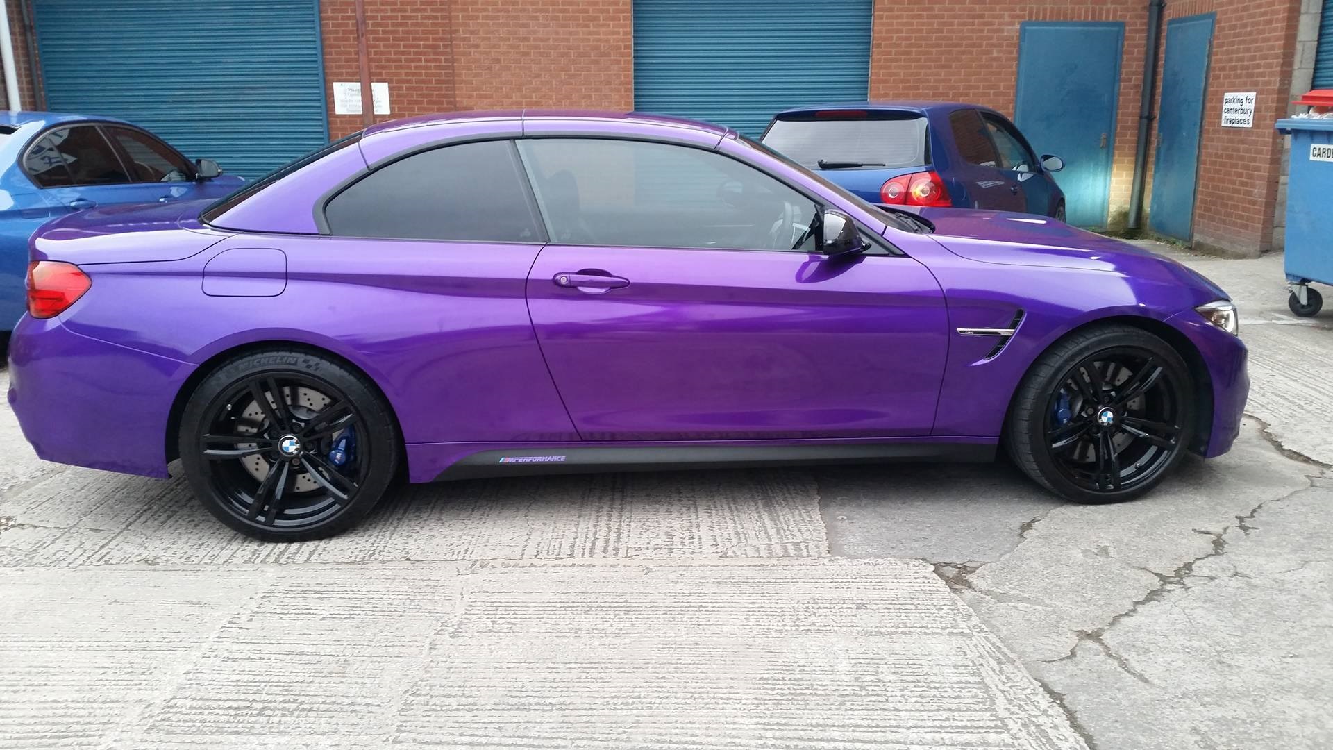 K75468 Imperial Orchid (5)