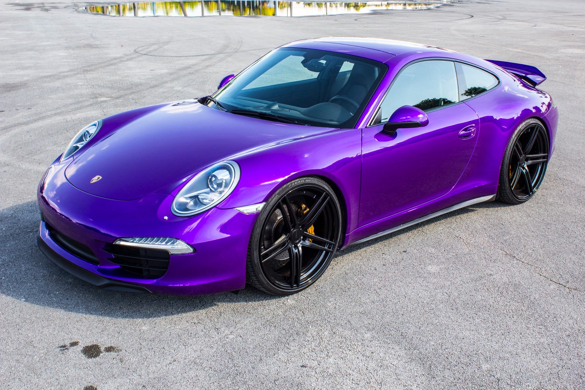 K75468 Imperial Orchid (6)