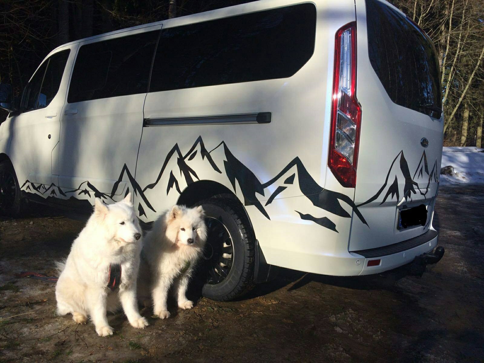 K75584 Matt Blue White Pearlescent Cast (6)