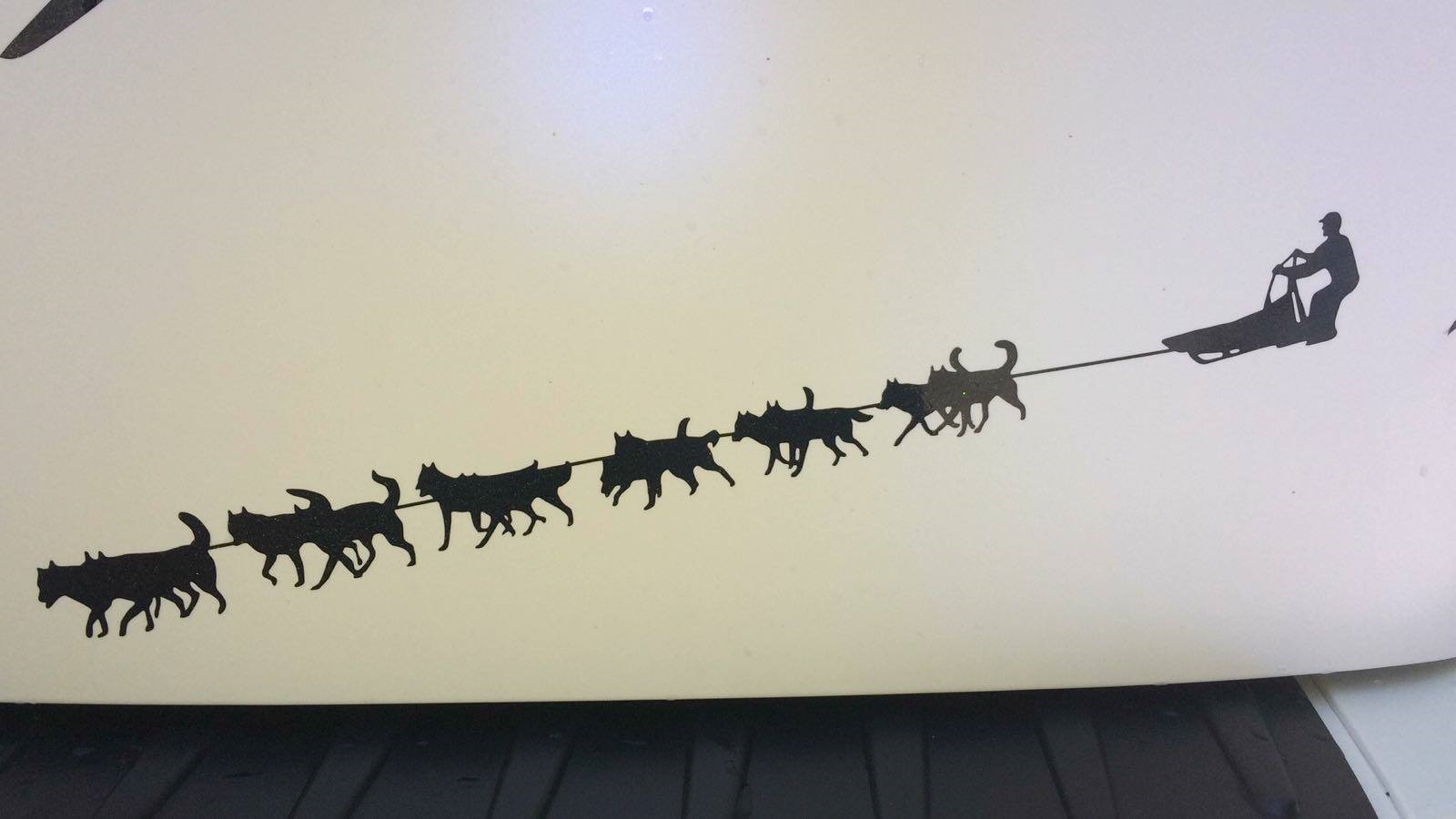 K75584 Matt Blue White Pearlescent Cast (7)